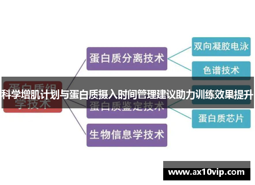 科学增肌计划与蛋白质摄入时间管理建议助力训练效果提升